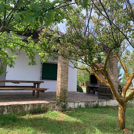 Gran Casa, Lagunas De Ruidera, Bbq, Porche, Chimenea Eksteriør bilde