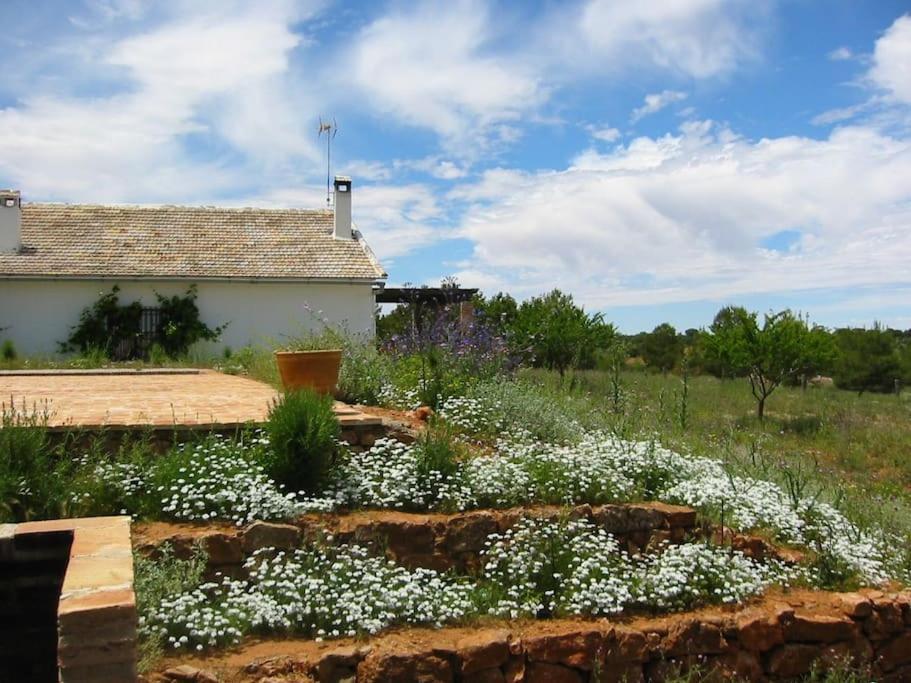 Gran Casa, Lagunas De Ruidera, Bbq, Porche, Chimenea Eksteriør bilde