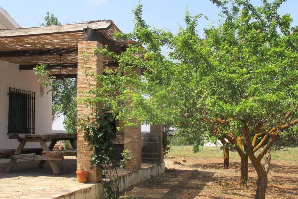 Gran Casa, Lagunas De Ruidera, Bbq, Porche, Chimenea Eksteriør bilde